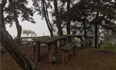 CASA DE CAMPO EN DAPA  ID 355