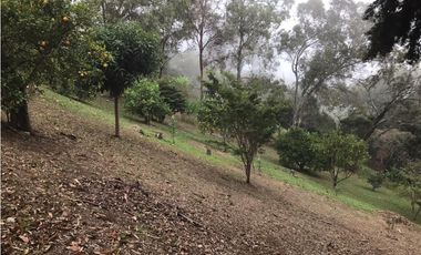 CASA DE CAMPO EN DAPA  ID 355