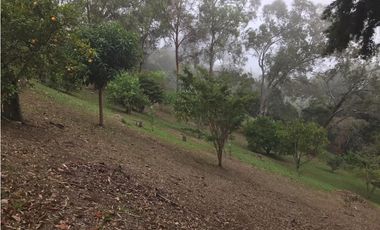 CASA DE CAMPO EN DAPA  ID 355