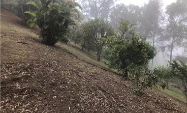 CASA DE CAMPO EN DAPA  ID 355