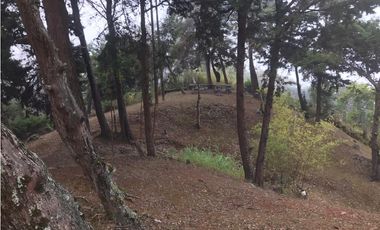 CASA DE CAMPO EN DAPA  ID 355