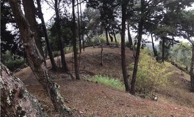 CASA DE CAMPO EN DAPA  ID 355