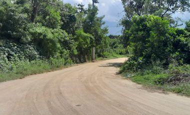 LOTE EN SABANA DE BONDA