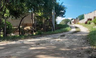 LOTE EN SABANA DE BONDA