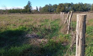 Terreno de 10.000 m2 a 1 km de la Ruta 5, en Ñiquén, Región de Ñuble.