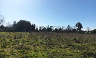 Terreno de 10.000 m2 a 1 km de la Ruta 5, en Ñiquén, Región de Ñuble.