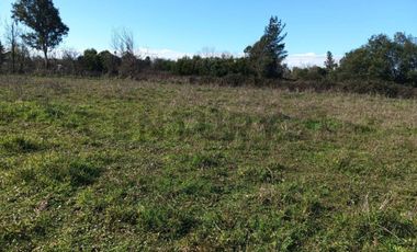 Terreno de 10.000 m2 a 1 km de la Ruta 5, en Ñiquén, Región de Ñuble.