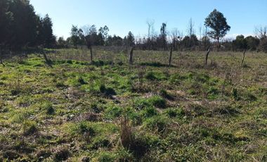 Terreno de 10.000 m2 a 1 km de la Ruta 5, en Ñiquén, Región de Ñuble.