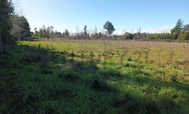 Terreno de 10.000 m2 a 1 km de la Ruta 5, en Ñiquén, Región de Ñuble.