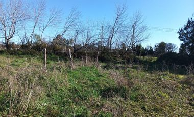 Terreno de 10.000 m2 a 1 km de la Ruta 5, en Ñiquén, Región de Ñuble.