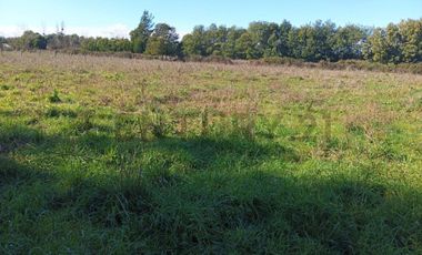 Terreno de 10.000 m2 a 1 km de la Ruta 5, en Ñiquén, Región de Ñuble.
