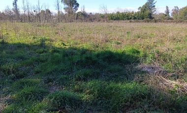 Terreno de 10.000 m2 a 1 km de la Ruta 5, en Ñiquén, Región de Ñuble.