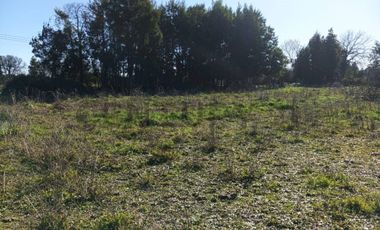 Terreno de 10.000 m2 a 1 km de la Ruta 5, en Ñiquén, Región de Ñuble.