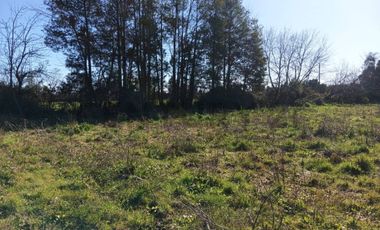 Terreno de 10.000 m2 a 1 km de la Ruta 5, en Ñiquén, Región de Ñuble.