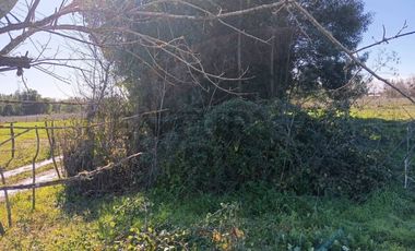 Terreno de 10.000 m2 a 1 km de la Ruta 5, en Ñiquén, Región de Ñuble.