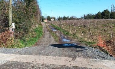 Terreno de 10.000 m2 a 1 km de la Ruta 5, en Ñiquén, Región de Ñuble.