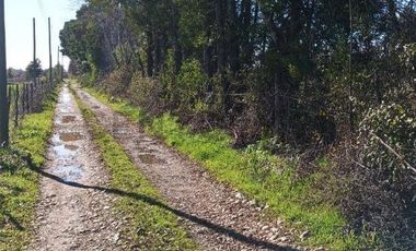 Terreno de 10.000 m2 a 1 km de la Ruta 5, en Ñiquén, Región de Ñuble.