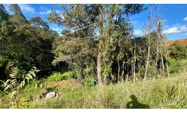 Lote Parcelacion Via El Escobero (Envigado)