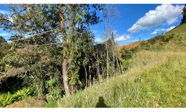 Lote Parcelacion Via El Escobero (Envigado)