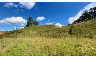 Lote Parcelacion Via El Escobero (Envigado)