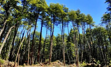 Remax vende parcelas Bosques de Rinconada - Pucon