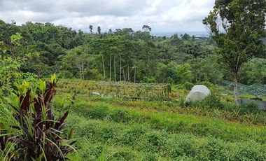 DIJUAL TANAH RAYA BATURITI TABANAN, BALI