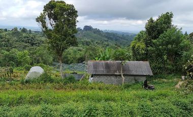 DIJUAL TANAH RAYA BATURITI TABANAN, BALI