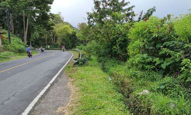 DIJUAL TANAH RAYA BATURITI TABANAN, BALI