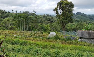 DIJUAL TANAH RAYA BATURITI TABANAN, BALI