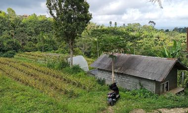 DIJUAL TANAH RAYA BATURITI TABANAN, BALI