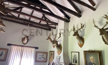 Arriendo Parcela, Pirque, Virginia Subercaseaux