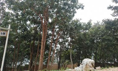 LOTE 26 ACOMODADO DENTRO DE ESTE RESIDENCIAL PRIVADO