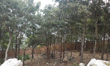 LOTE 26 ACOMODADO DENTRO DE ESTE RESIDENCIAL PRIVADO