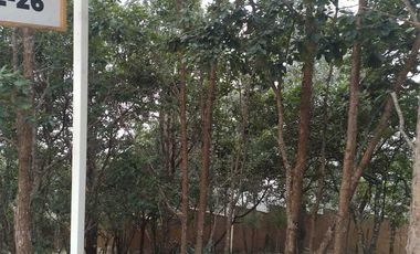 LOTE 26 ACOMODADO DENTRO DE ESTE RESIDENCIAL PRIVADO