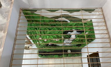 Rumah disewakan di Tebet Barat Dalam