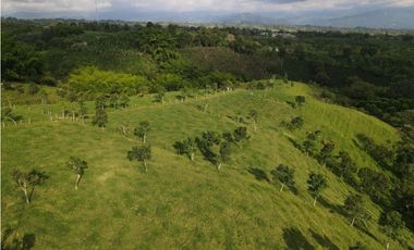 Casa campestre en venta o arriendo, en Filandia, Vereda el Paraiso