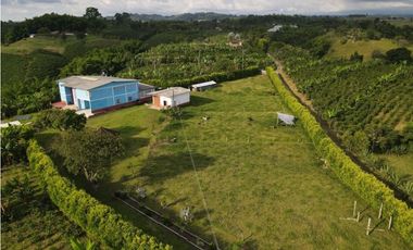 Casa campestre en venta o arriendo, en Filandia, Vereda el Paraiso