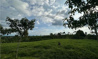 Casa campestre en venta o arriendo, en Filandia, Vereda el Paraiso