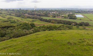 Lote en venta en Palmira. Cod V5662
