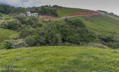 Lote en venta en Palmira. Cod V5662