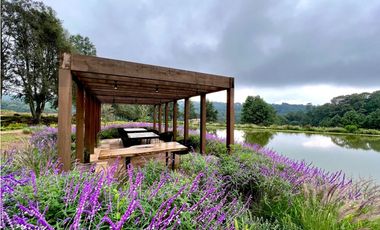 CARDO SANTO CON AVANCE DE OBRA