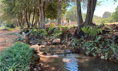 CARDO SANTO CON AVANCE DE OBRA