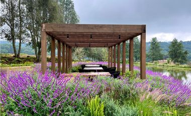 CARDO SANTO CON AVANCE DE OBRA