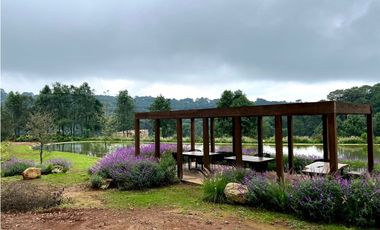 CARDO SANTO CON AVANCE DE OBRA