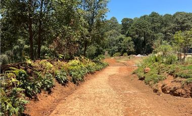 CARDO SANTO CON AVANCE DE OBRA