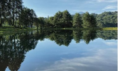 CARDO SANTO CON AVANCE DE OBRA