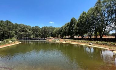 CARDO SANTO CON AVANCE DE OBRA