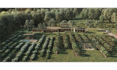 CARDO SANTO CON AVANCE DE OBRA