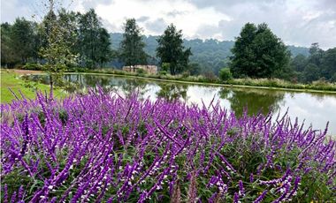 CARDO SANTO CON AVANCE DE OBRA