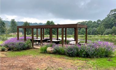 CARDO SANTO CON AVANCE DE OBRA